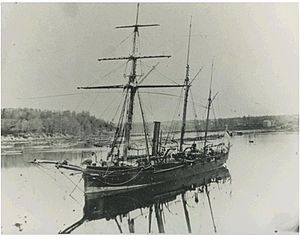 Gun Boat Pigeon sister ship Cherub 1865